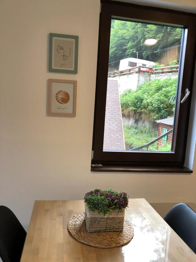 Vila Irina Kopaonik - Apartman Jovana Extérieur photo