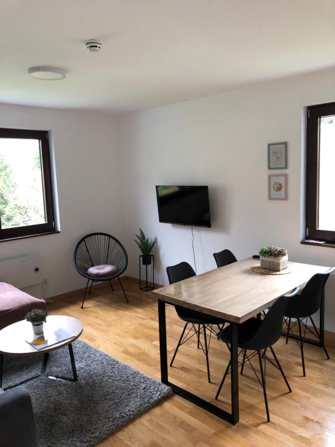 Vila Irina Kopaonik - Apartman Jovana Extérieur photo