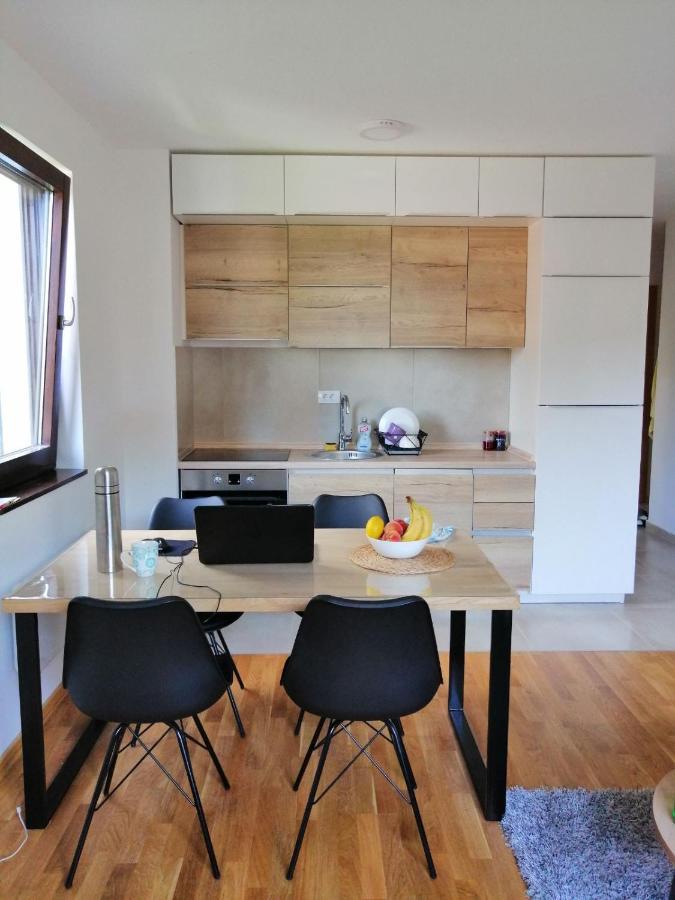 Vila Irina Kopaonik - Apartman Jovana Extérieur photo
