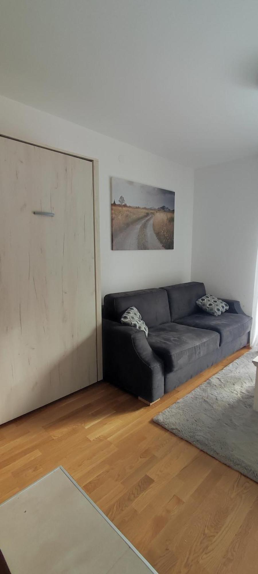 Vila Irina Kopaonik - Apartman Jovana Extérieur photo